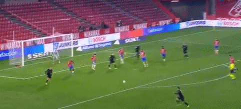 新秀首次入选国家队大名单